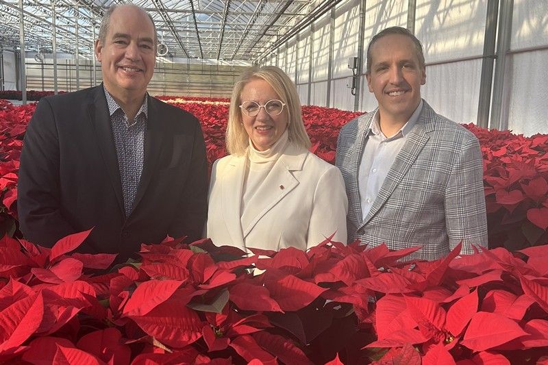 La Campagne de Poinsettias d’Aube-Lumière débute
